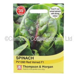 Thompson & Morgan Spinach PV1390 Red Veined F1